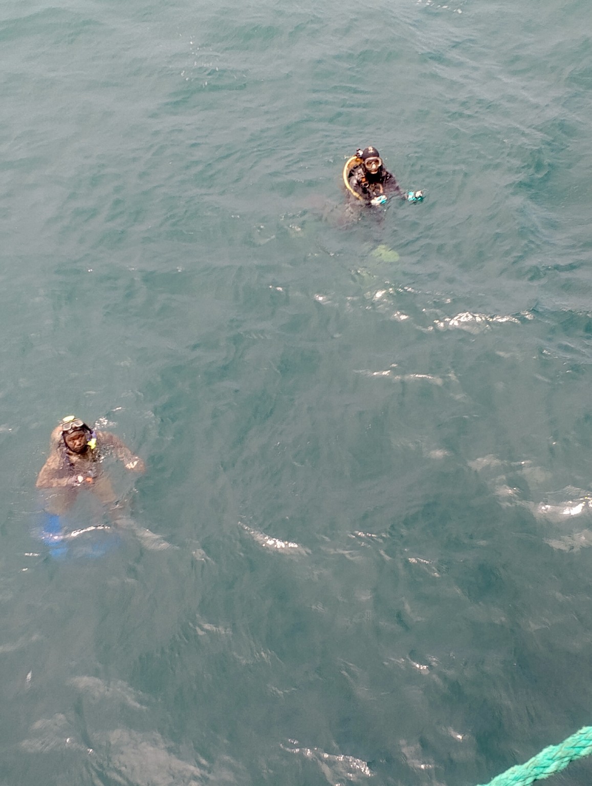 Underwater marine inspection